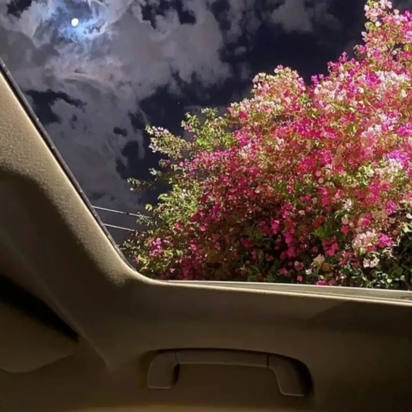 Meet your Posher, Hannah - Picture 1 of 1